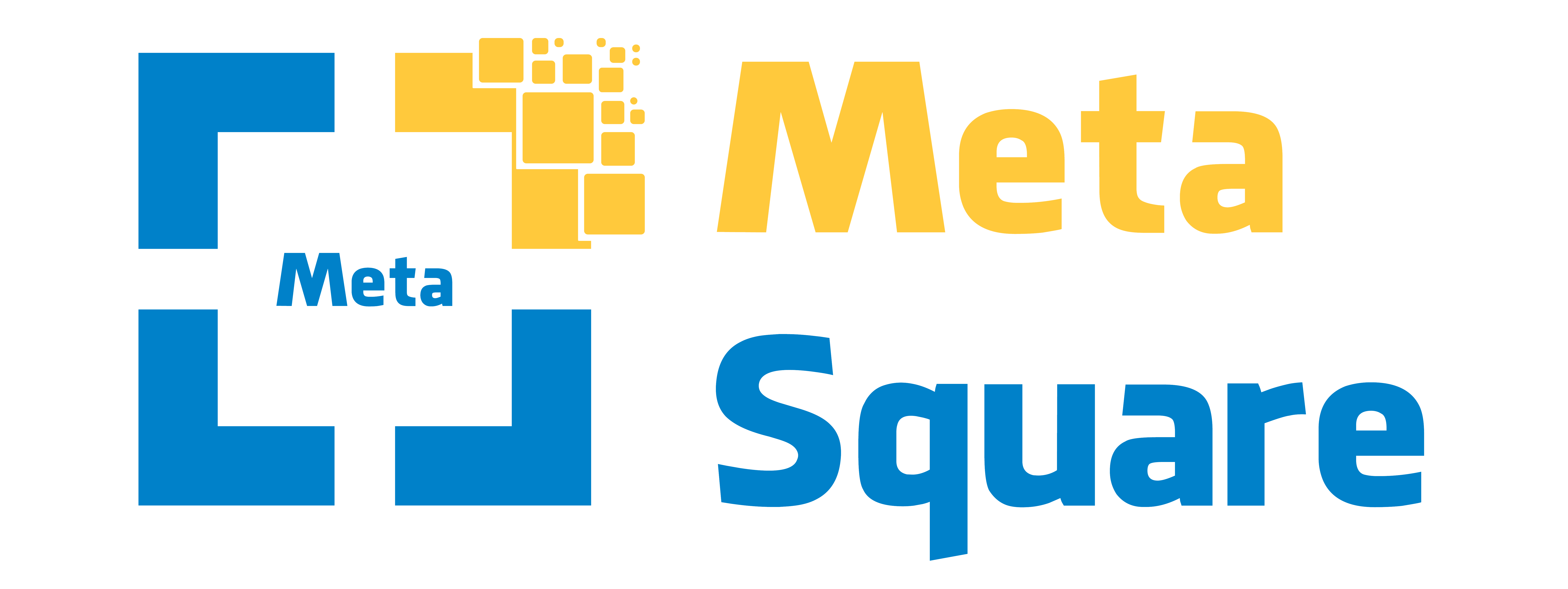 MetaSquare